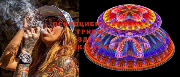 молекула духа Белокуриха