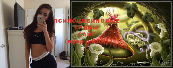 молекула духа Белокуриха