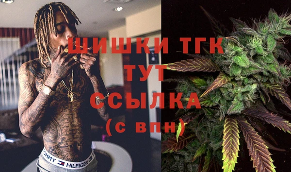 эйфоретик Беломорск