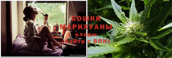 молекула духа Белокуриха
