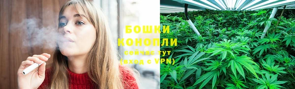молекула духа Белокуриха