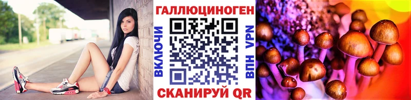 kraken зеркало  Озёрск  Галлюциногенные грибы мухоморы 